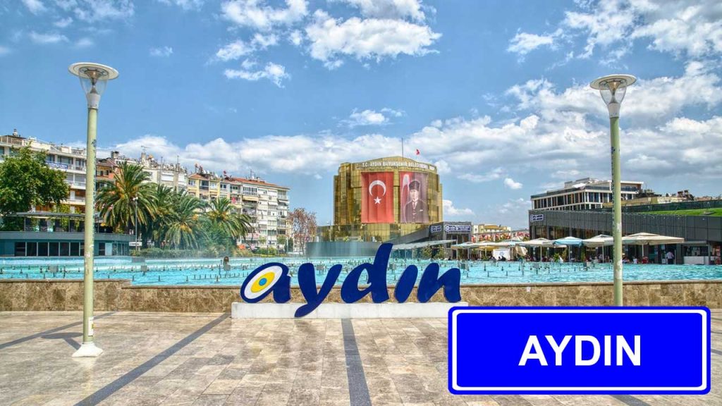 İstanbul Aydın Evden Eve Nakliyat
