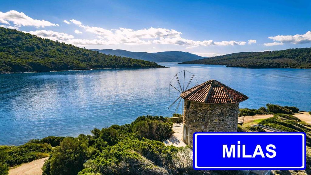 İstanbul Milas Nakliyat